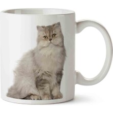 Sevimli British Cinsi Porselen Kupa Bardak, Beyaz Renkli, Şık ve Kullanışlı