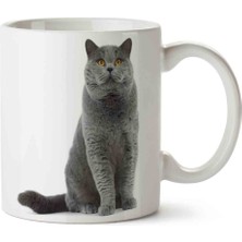 Kedi Seni Seviyorum Love Porselen Kupa Bardak