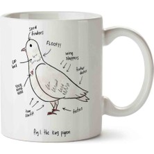 Güvercin Anatomi Porselen Kupa Bardak