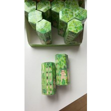 CN Collection Sonny Angel Cactus (Kaktüs) Series