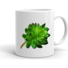 Çiçek Deseni Baskılı Seramik Beyaz Kupa