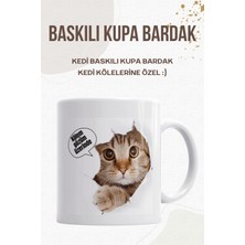 Kedi Kölelerine Özel - Kedi Baskılı Kupa Bardak - Kedili Kupa Bardak