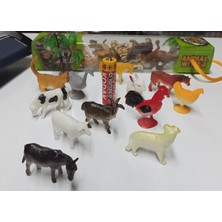 BNG STR Plastik Evcil Hayvanlar ve Çiftlik Hayvanları Oyuncak Mini Tavuk At Kedi Koyun Tavşan 13 Parça