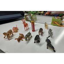 BNG STR Plastik Mini  Vahşi Hayvanlar Timsah Kurt Geyik Zürafa Kaplan Hipopotam 13 Parça
