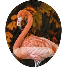 Flamingo Dış Çekim - Tasarım Baskılı Mouse Pad Bileklikli