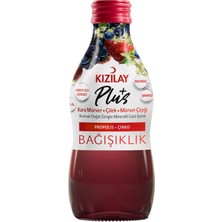 Kızılay Plus Kara Mürver & Çilek & Mürver Çiçeği 200 ml x 24 Şişe - Erzincan
