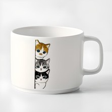 Double Türk Kahvesi Fincanı & Espresso 3 Yavru Kediler Baskılı Kupa 180 ml