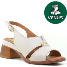 Venüs 2311510Y Kadın Hakiki Deri Tokalı Kalın Topuk Comfort Sandalet