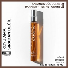 Norayn DM101 Ember EDP 10 ml Erkek Parfümü | Çanta Boyu | Oud, Tarçın ve Tütsü Notaları | Karanlık Güç Duruşu ve Yoğun Kalıcı İmza