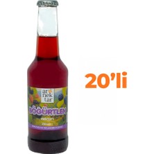 Ar Nektar Böğürtlen Nektarı 250 ml x 20 Şişe