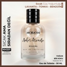 Norayn Amber Aromatic Erkek Parfüm 50 ml Edt – Lavanta, Tonka ve Benzoin Notaları, Sıcak ve Yoğun Koku