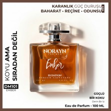 Norayn Ember Erkek Parfüm 100 ml Edp – Baharat, Reçine ve Odunsu Notalar, Karanlık ve Güçlü Duruş