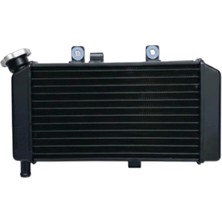 Monero Cf Moto Nk 250 Radyatör Euro 4