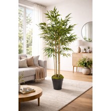 Maki Dekor Yapay Bambu 6 Gövdeli Lüks Yapraklı 160 cm Boyunda Dekoratif Modern Ağaç