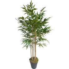 Maki Dekor Yapay Bambu 6 Gövdeli Lüks Yapraklı 160 cm Boyunda Dekoratif Modern Ağaç