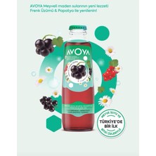 Avoya Papatya&frenk Üzümü Aromalı 6'lı Maden Suyu