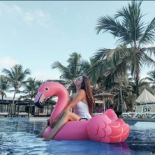 Toha Intex Şişme Pembe Flamingo Deniz Yatağı | 147×140X94 cm Tutma Kulplu Dev Şamandıra