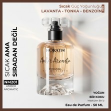 Norayn Amber Aromatic Erkek Parfüm 50 ml Edp – Lavanta, Tonka ve Benzoin Notaları, Sıcak ve Kalıcı Yoğun Koku