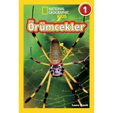 Brf Örümcekler: National Geographic Kids - Seviye 1 (Kapak Değişebilir)