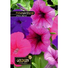 Goldgen Pro Seed Goldgen Petunya Çiçeği Tohumu