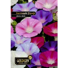 Goldgen Pro Seed Goldgen Sarmaşık Çiçeği Tohumu