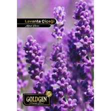 Goldgen Pro Seed Goldgen Lavanta Çiçeği Tohumu