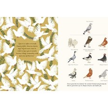 Türlerin Kökeni (Ciltli)