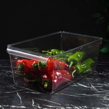 Eco Lounge Pet Buzdolabı Düzenleyici (Xl)