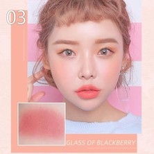 Eco Lounge Allık Paleti, 3'ü 1 Arada Renkli Mat Yüz Allığı Makyaj Pudrası, Mat Pembe Allık, Uzun Ömürlü Tere Dayanıklı Yağsız Allık Için Makyaj Allığı Glow Mat Cildi Aydınlatır Doğal Görünüm