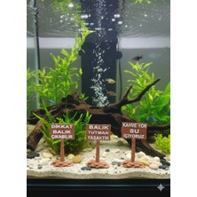 Etkrtl-Akvaryum Tabela Dekoru Dbç-Bty-Ksi- 3'lü Set Halinde 8x5 cm
