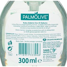 Eco Lounge Mutfak Için Koku Giderici Sıvı El Sabunu (300 Ml)