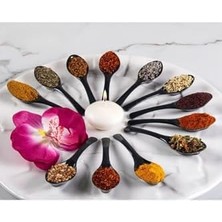 Eco Lounge Welcomein 12 Adet Baharat Kaşığı Kahvaltılık Baharatlık Kaşığı Kaşık Seti