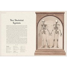 Eco Lounge Anatomicum