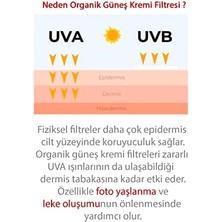 Eco Lounge Ql Yüz Güneş Kremi 50 + Spf Faktör Leke Karşıtı Çok Yüksek Koruma (1 x 110 Ml)