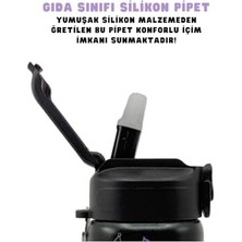 Eco Lounge 600ML Temalı Lisanslı Pipetli Kilitlenebilir Kapak Paslanmaz Çelik Termos Matara (Siyah)