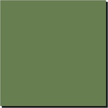 Eco Lounge Models Abd Iç Yeşil Fs 34151, MIOMMP059