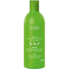 Eco Lounge Doğal Zeytin Yenileyici Şampuan 1 Paket (1 x 400 Ml)