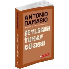 Şeylerin Tuhaf Düzeni: Yaşam, Hisler ve Kültürlerin Doğuşu