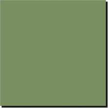 Eco Lounge Models 30ML (1oz) Raf Iç Yeşil Modeller MMP-079