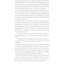 Eco Lounge Kurt ve Ormancı