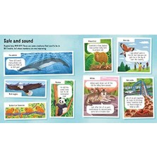 Eco Lounge Look Inside Animals In Danger