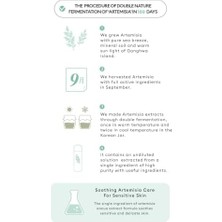 Eco Lounge Hassas Ciltler Için Kızarıklık Karşıtı Bakım Sunan Konsantre Ampul Artemisia Calming Ampouler 75ML