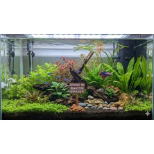 Etkrtl-Akvaryum Tabela Dekoru Bbb 8x5 cm