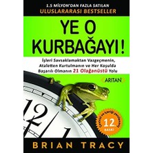 Eco Lounge Ye O Kurbağayı