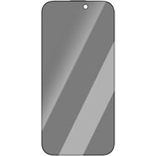 Eco Lounge 16 Pro Max Uyumlu Hd Serisi 0.25MM Privacy Temperli Cam Ekran Koruyucu Siyah