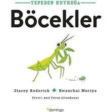 Eco Lounge Tepeden Kuyruğa - Böcekler