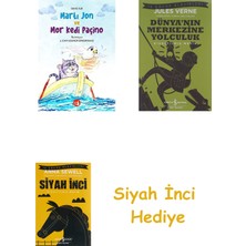 İş Bankası Kültür Yayınları Martı Jon ve Mor Kedi Paçino + Dünyanın Merkezine Yolculuk + Siyah Inci Hediye