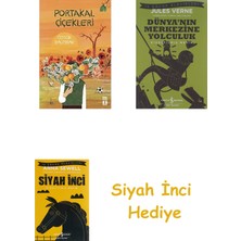 İş Bankası Kültür Yayınları Portakal Çiçekleri + Dünyanın Merkezine Yolculuk + Siyah Inci Hediye