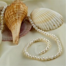 Ayena Moda 7-8 mm Inci