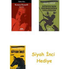 İş Bankası Kültür Yayınları Kırmızı Karanfil - 1956-1971 - Toplu Şiirler I: Toplu Şiirler - 1 + Dünyanın Merkezine Yolculuk + Siyah Inci Hediye